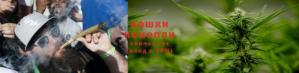 spice Надым