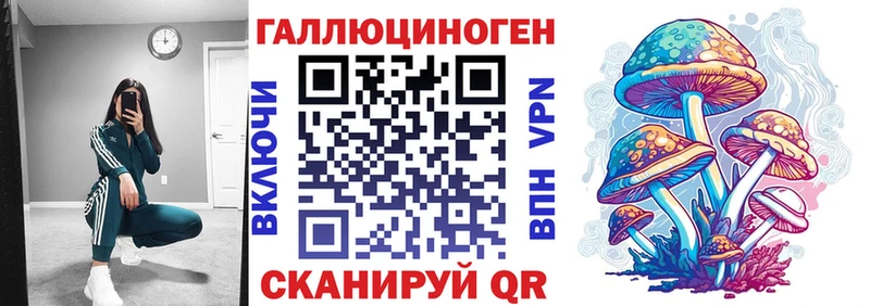 Псилоцибиновые грибы MAGIC MUSHROOMS  сколько стоит  Мурино 