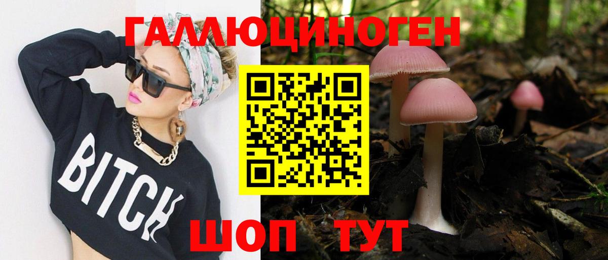 Мурино  Галлюциногенные грибы Magic Shrooms  Псилоцибиновые грибы GOLDEN TEACHER  Вход с VPN 